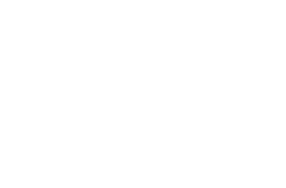 AU CARRE DES FLAMMES